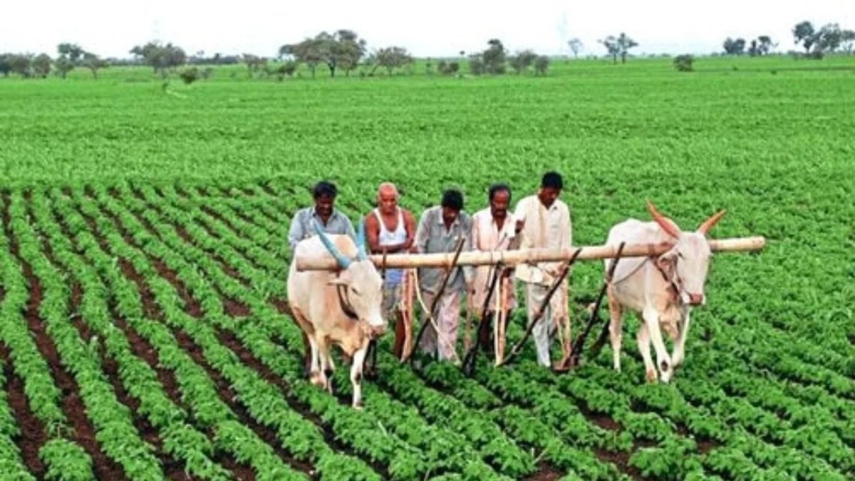 PM Kisan Samman Nidhi
