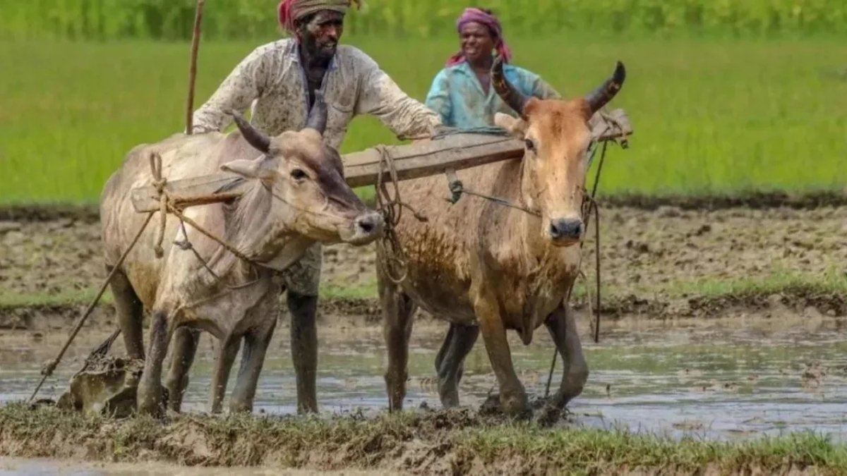 PM Kisan Samman Nidhi