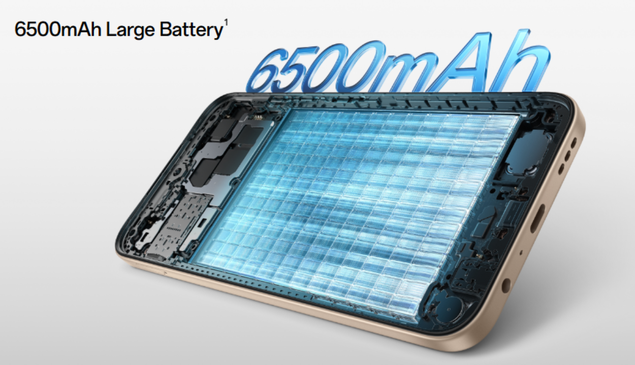 Vivo Y Series Battery 