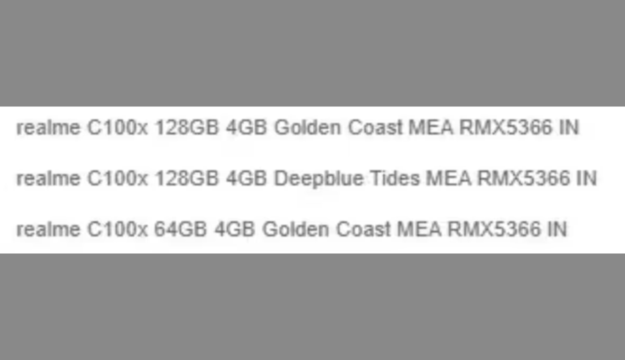 Realme C100x